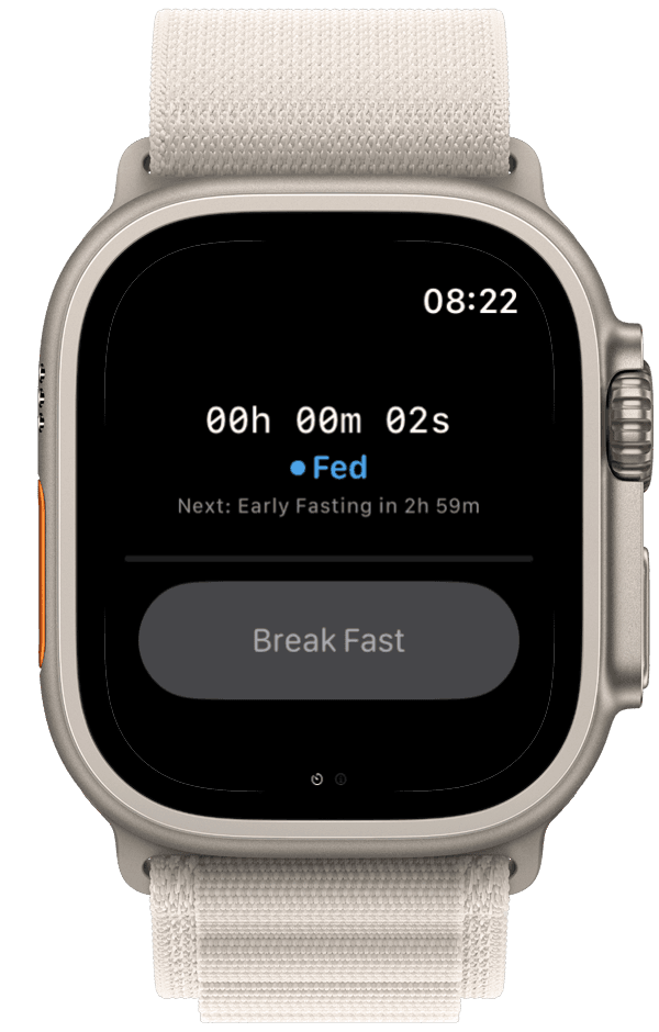 Apple Watch companion screen